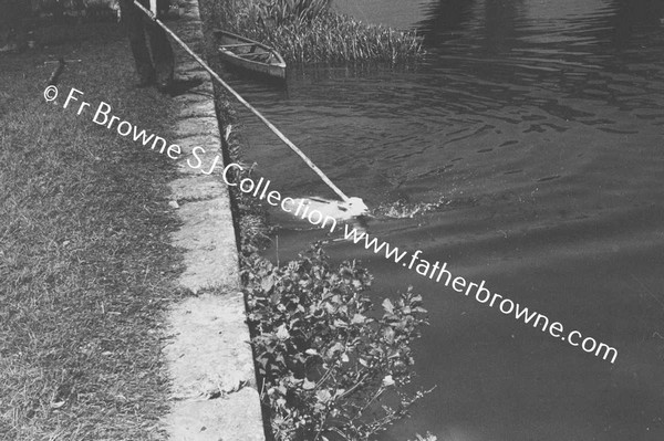 SHEEP WASHING IN RIVER BARROW